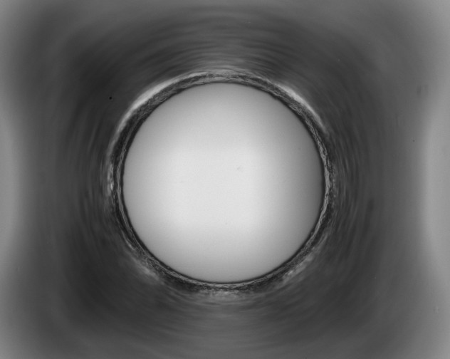 X0000085311070200703091049