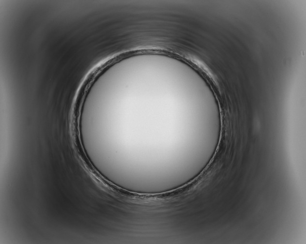 X0000085311072200703091049