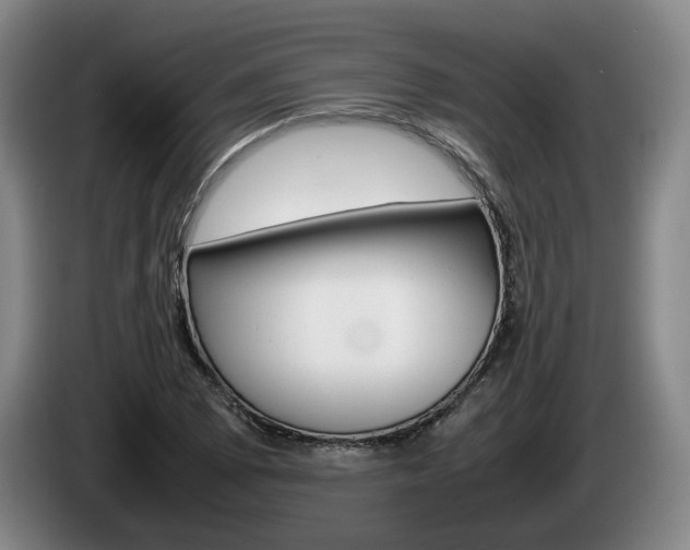 X0000085311073200703091049