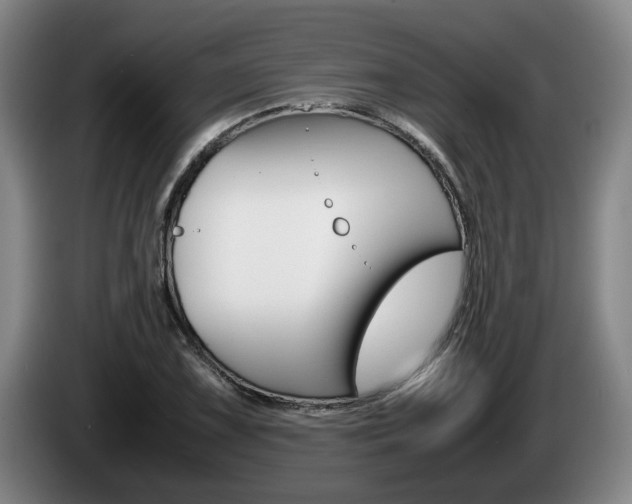 X0000085311075200703091049