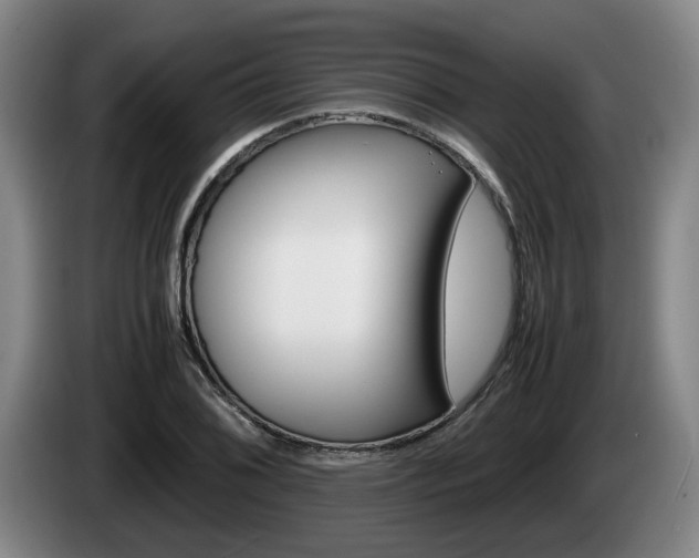 X0000085311076200703091049