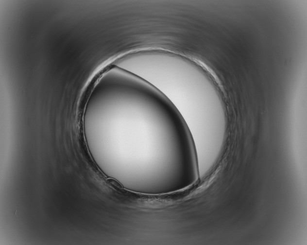 X0000085311077200703091049