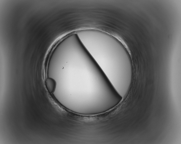 X0000085311080200703091049