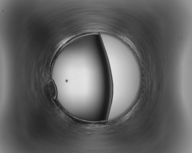 X0000085311081200703091049