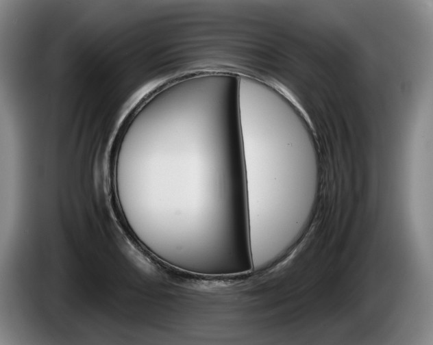 X0000085311082200703091049