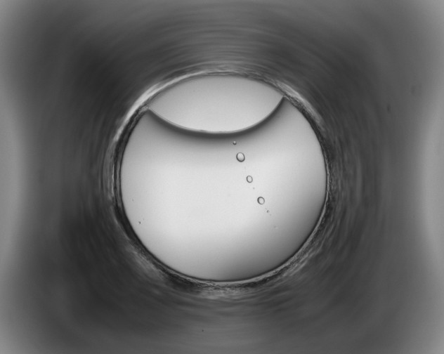 X0000085311083200703091049
