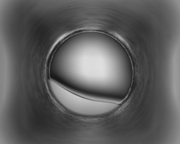 X0000085311085200703091049