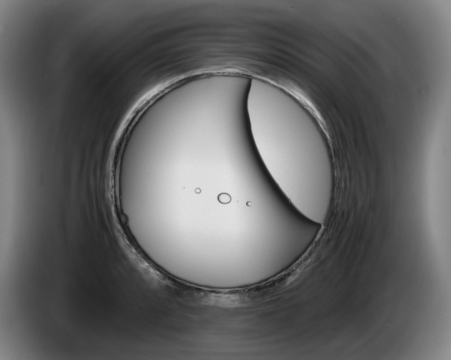 X0000085311088200703091049