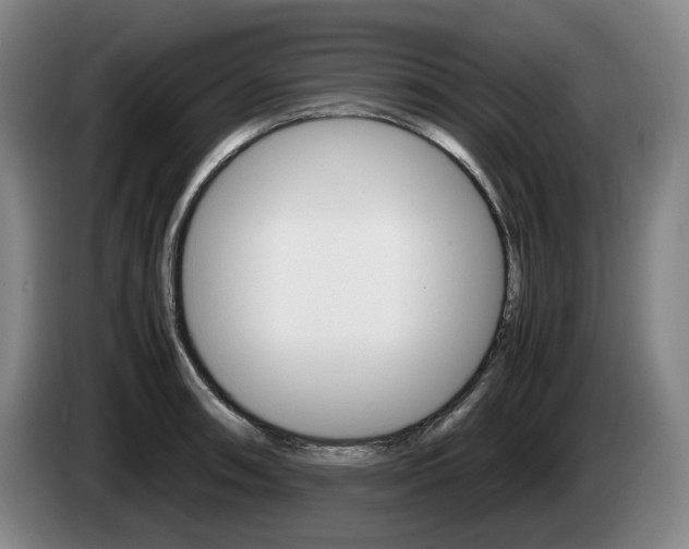 X0000085311090200703091049