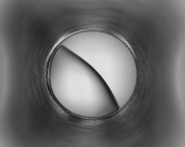 X0000085311091200703091049