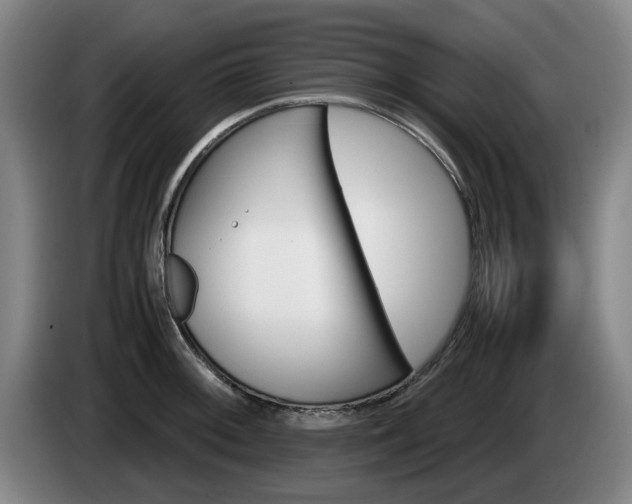 X0000085311092200703091049