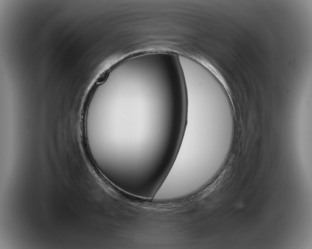 X0000085311093200703091049