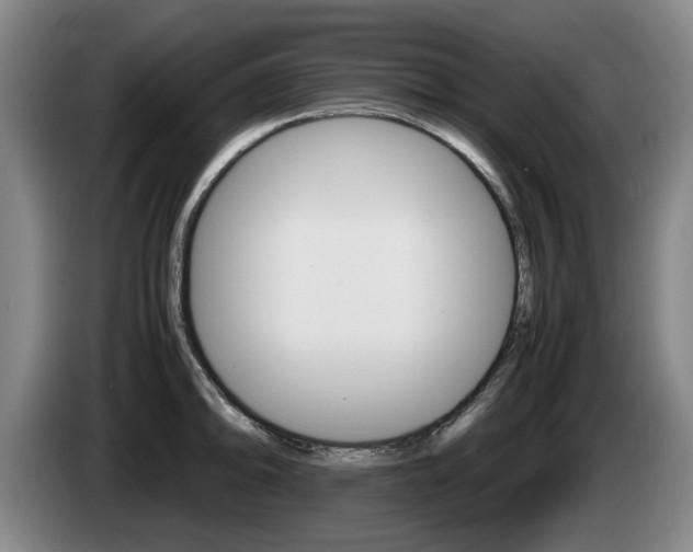 X0000085311094200703091049