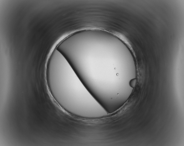 X0000085311096200703091049