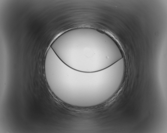 X0000085311097200703091049