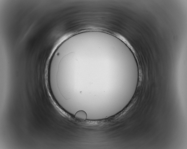 X0000085311098200703091049
