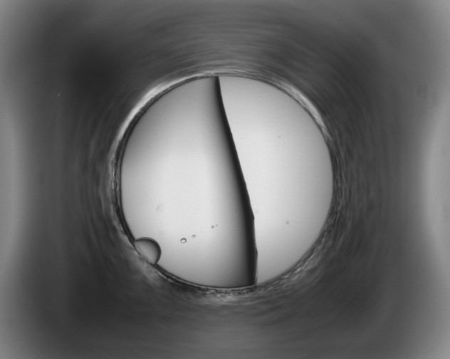 X0000085311099200703091049