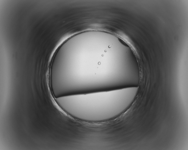 X0000085311100200703091049