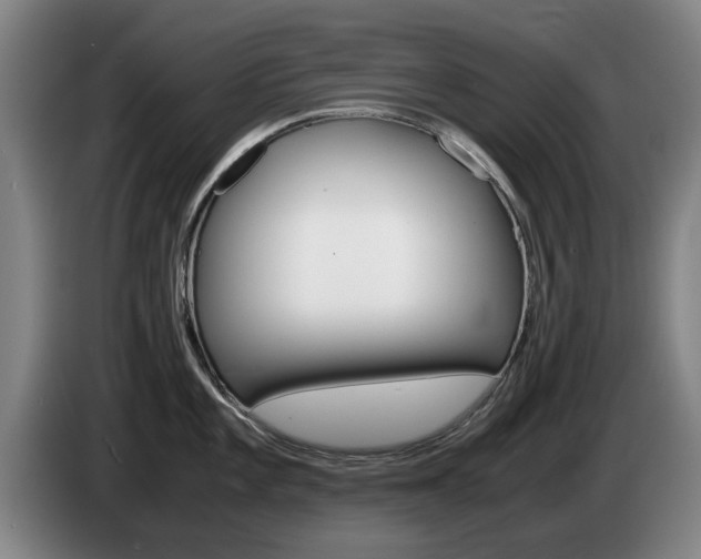 X0000085311101200703091049