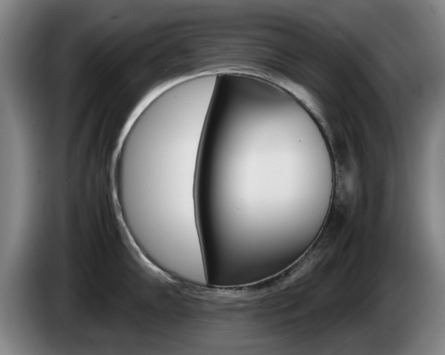 X0000085311102200703091049