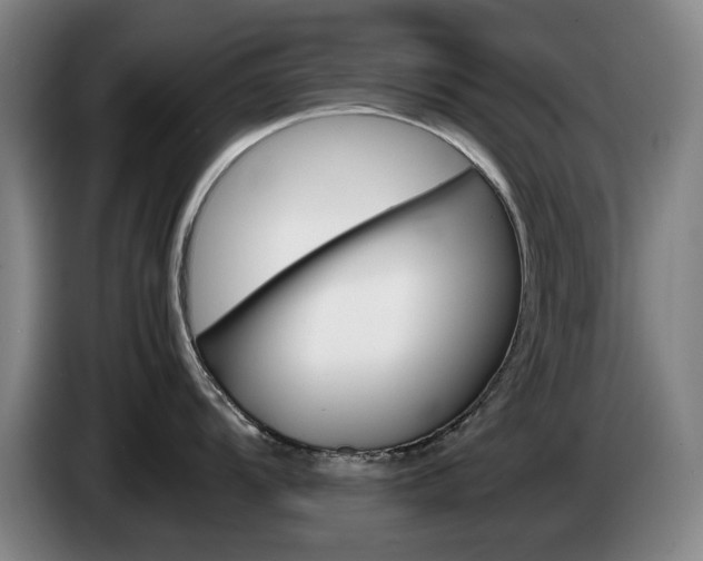 X0000085311104200703091049