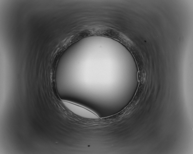 X0000085311108200703091048