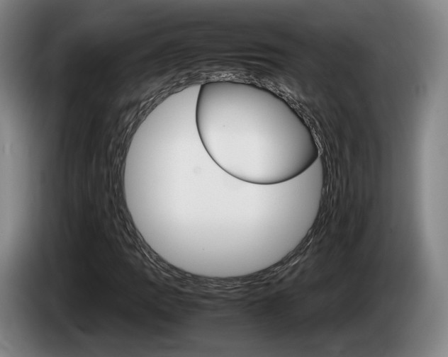 X0000085311109200703091048