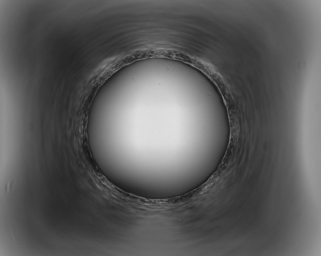 X0000085311110200703091048