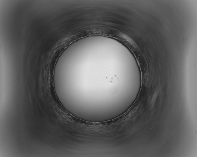 X0000085311111200703091048