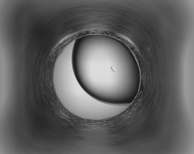 X0000085311112200703091048