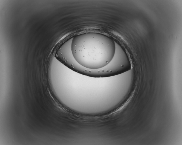 X0000085311113200703091048