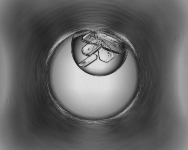 X0000085311114200703091048