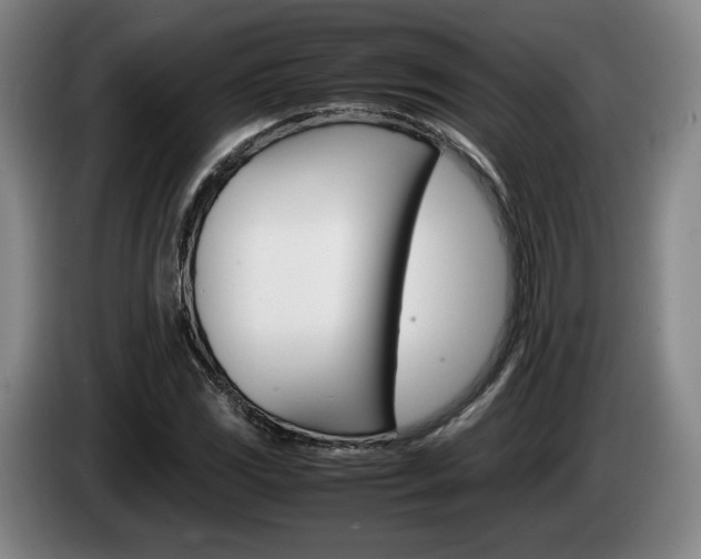 X0000085311117200703091048