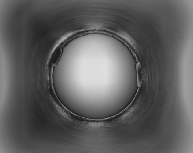 X0000085311118200703091048