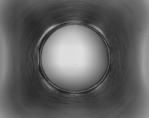X0000085311123200703091048