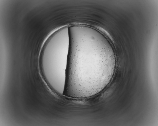 X0000085311125200703091048