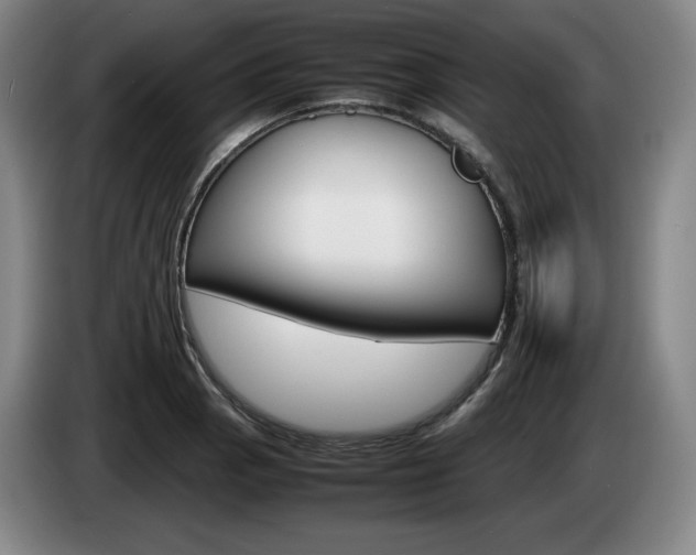 X0000085311129200703091048