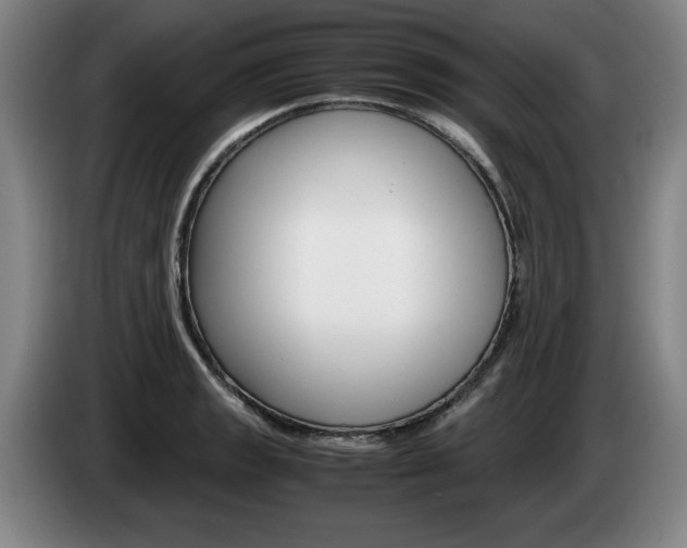 X0000085311133200703091048