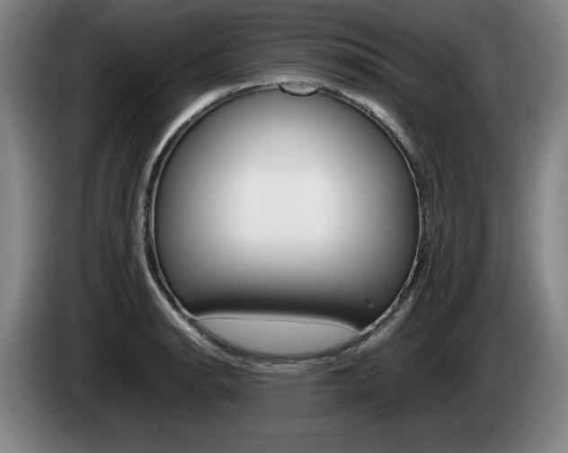 X0000085311134200703091048