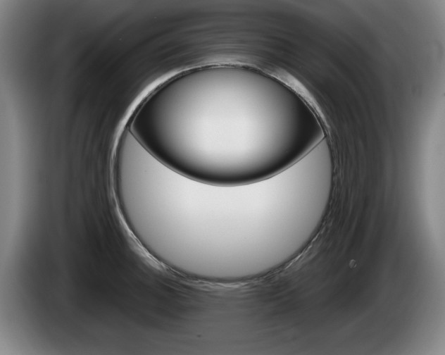 X0000085311140200703091048