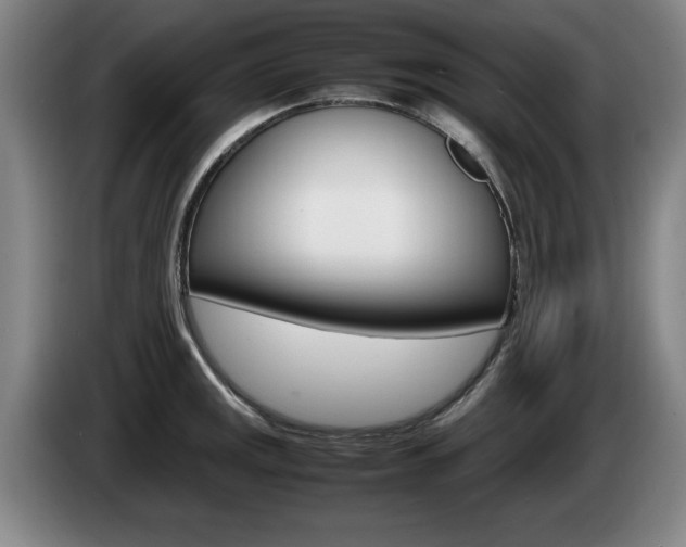 X0000085311141200703091048