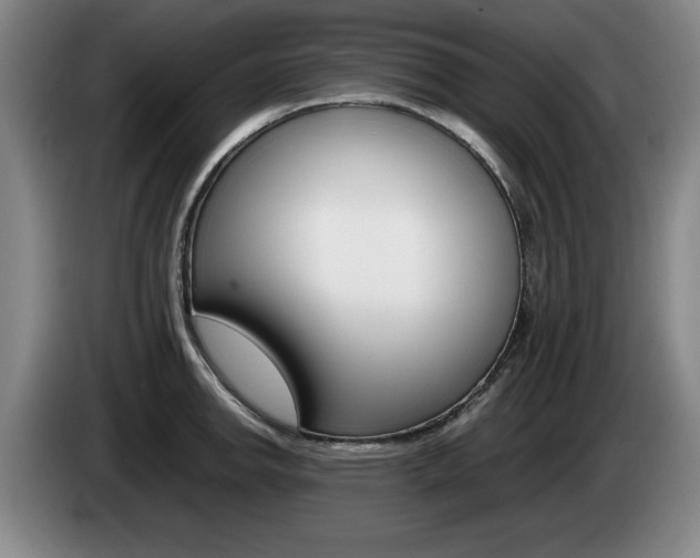 X0000085311142200703091048