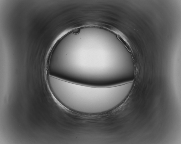 X0000085311143200703091049