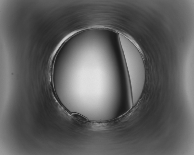 X0000085311148200703091049