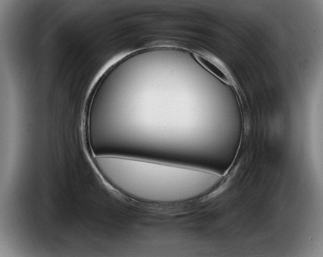 X0000085311149200703091049