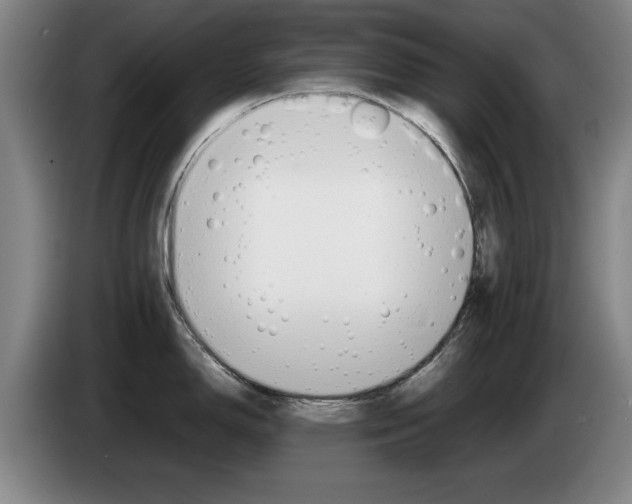 X0000085311150200703091049
