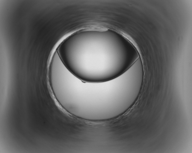 X0000085311152200703091049