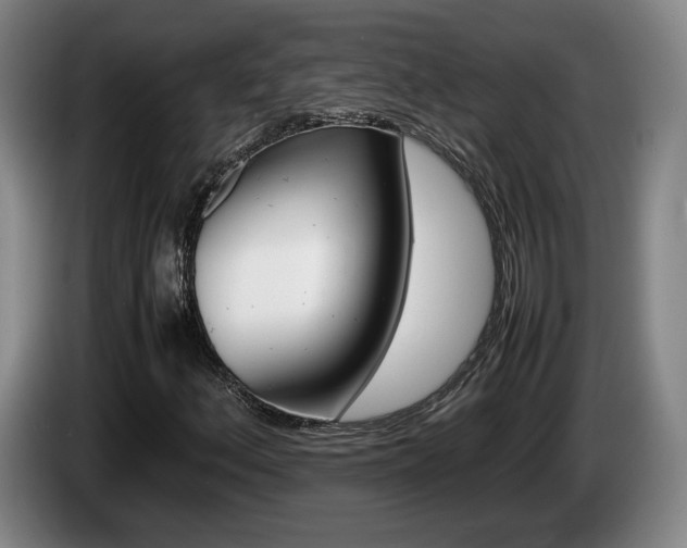 X0000085311156200703091048