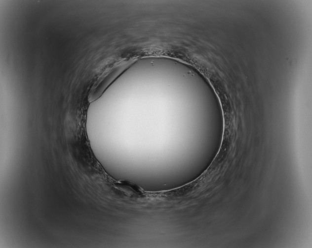 X0000085311157200703091048