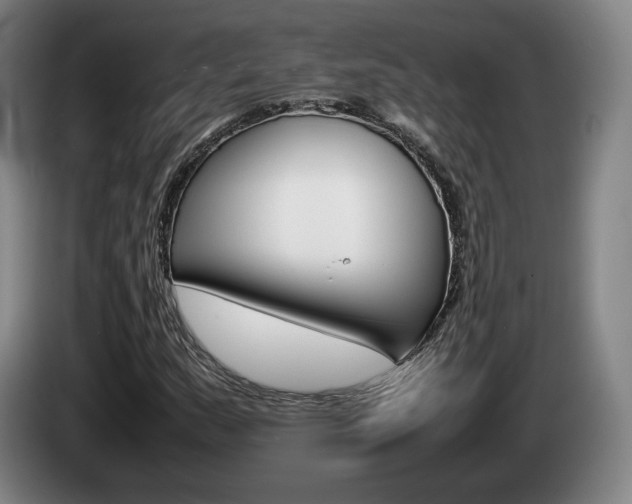 X0000085311159200703091048